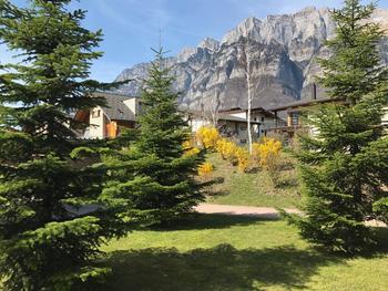 Aussenanlage mit Bäumen